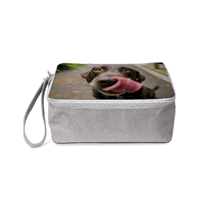 Lunch Bag (Paper)