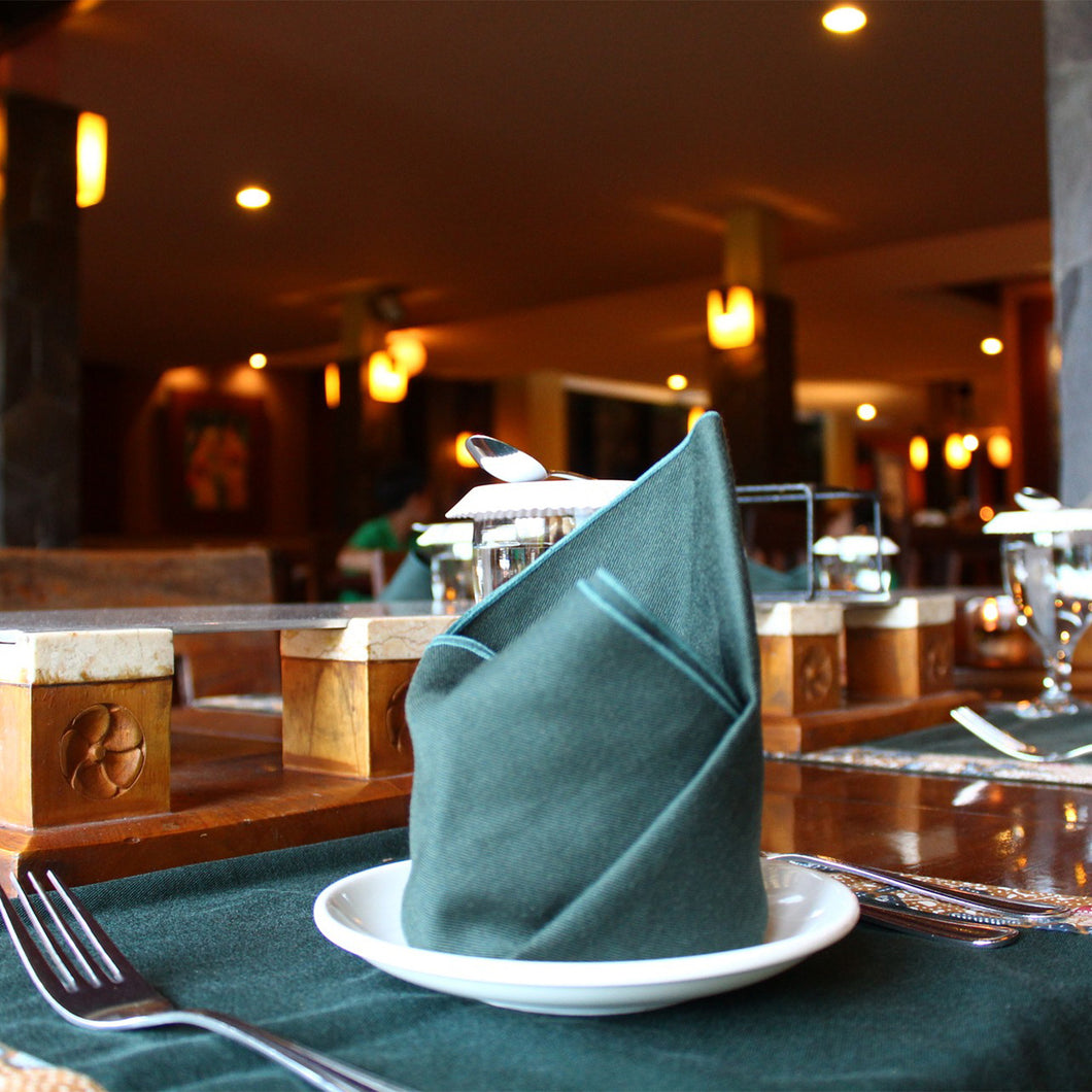 Polyester Twill Napkin (10