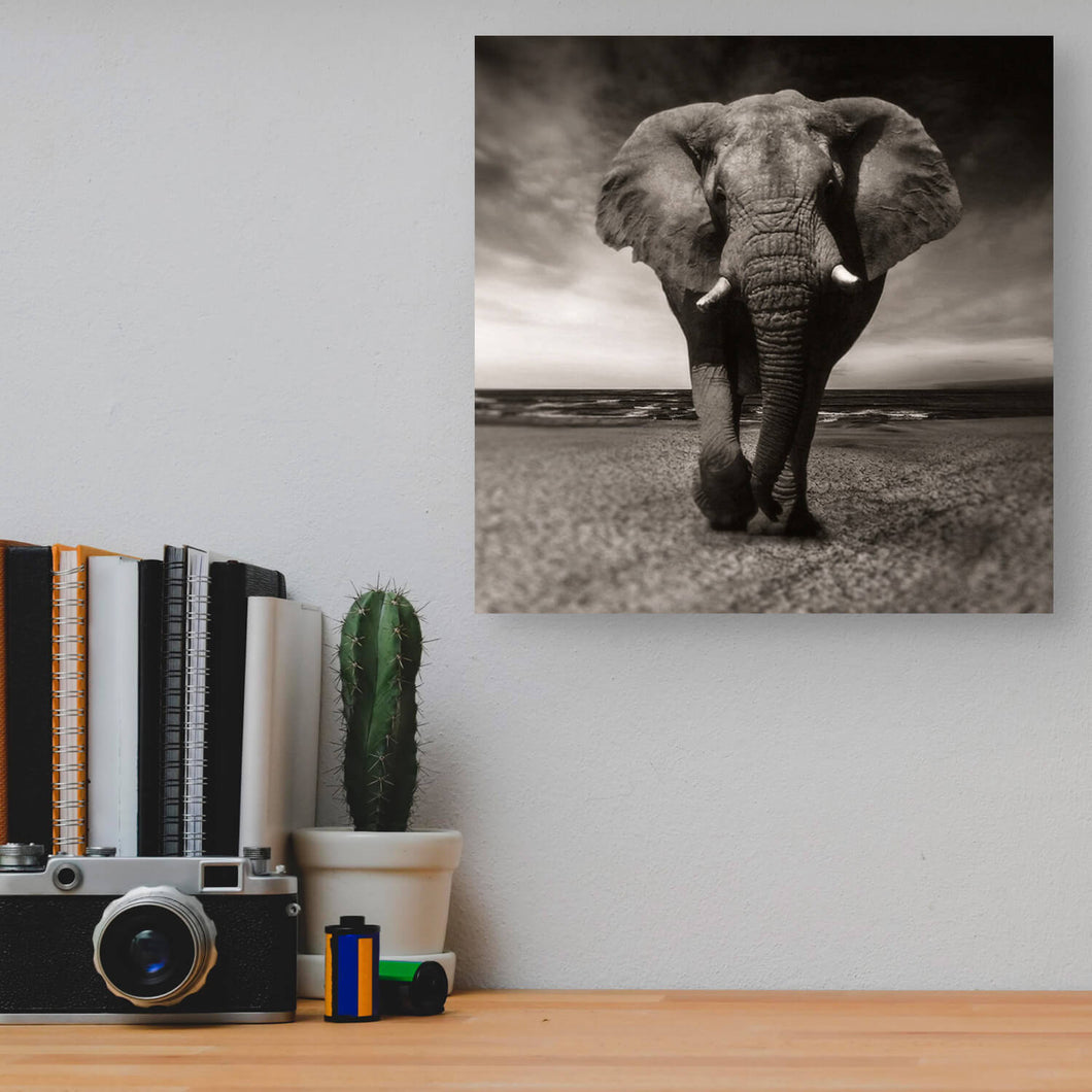 Square Wooden Wall Art (12