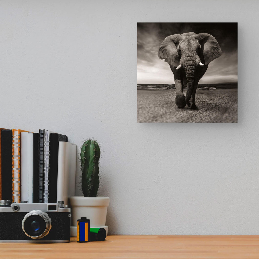 Square Wooden Wall Art (8